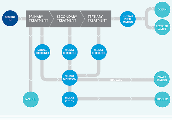 diagram of sewage treatment process showing primary, secondary and tertiary treatment stages