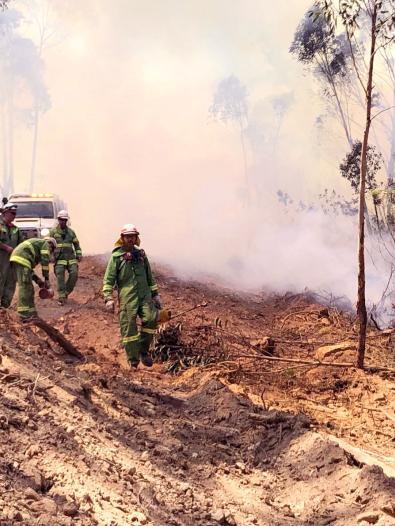Crew of firefighters conduct backburning in catchment area