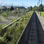 Raingarden in Melbourne with the MCG in the background