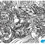 Frogs of Melbourne colouring sheet
