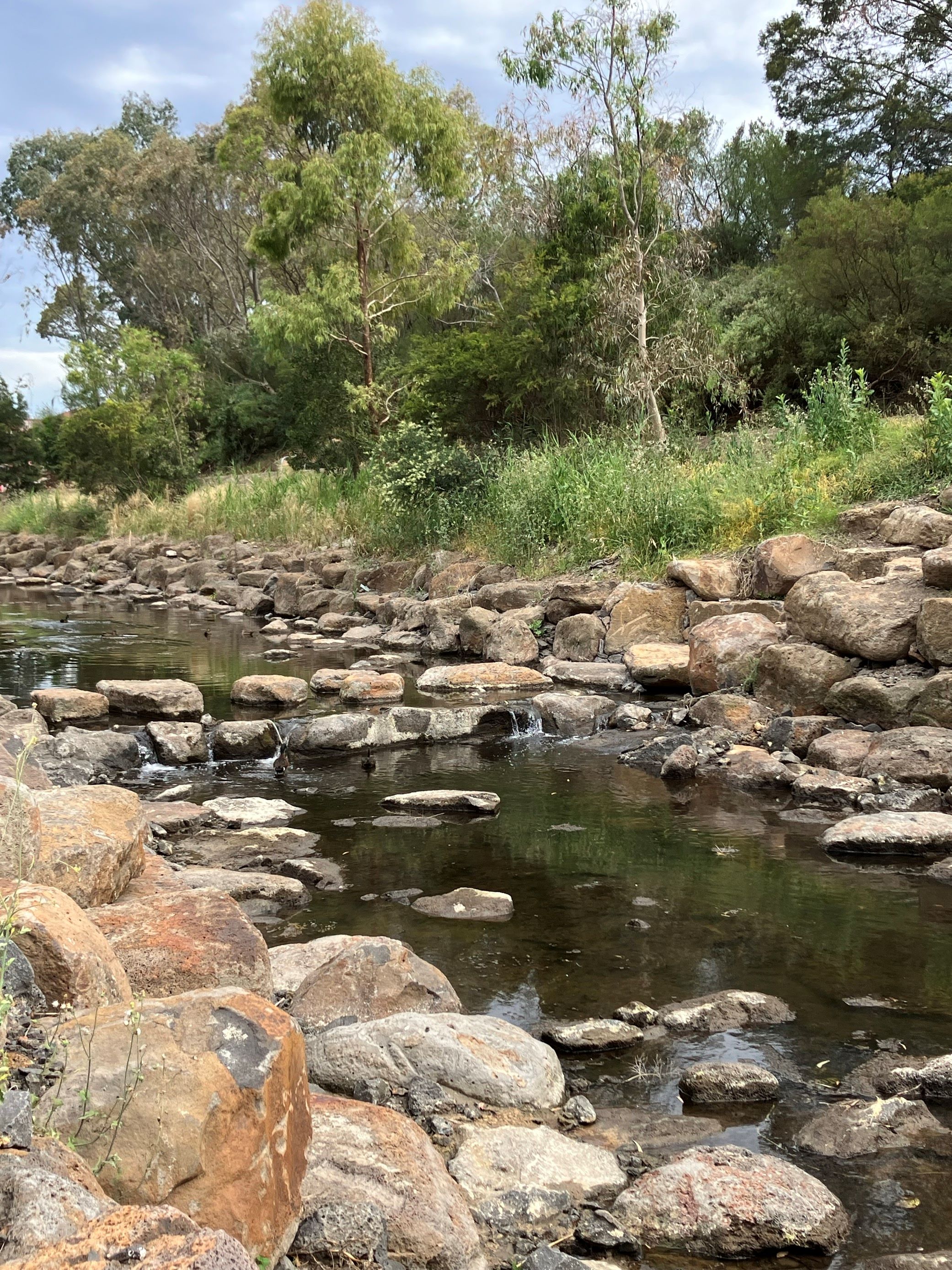 Moonee Ponds Creek with stepping stones