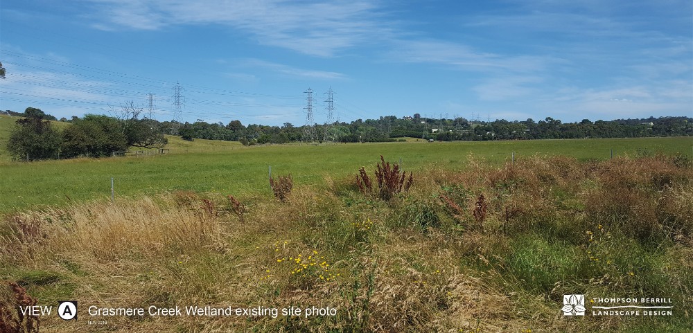 Photo of wetland site before proposed works showing flat grassy area
