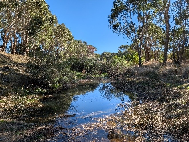 Deep Creek after watering
