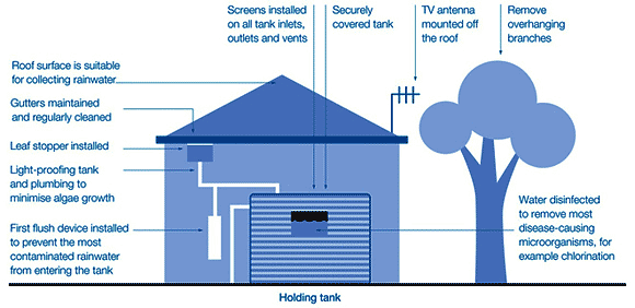 Diagram showing how to correctly design and maintain rainwater tanks