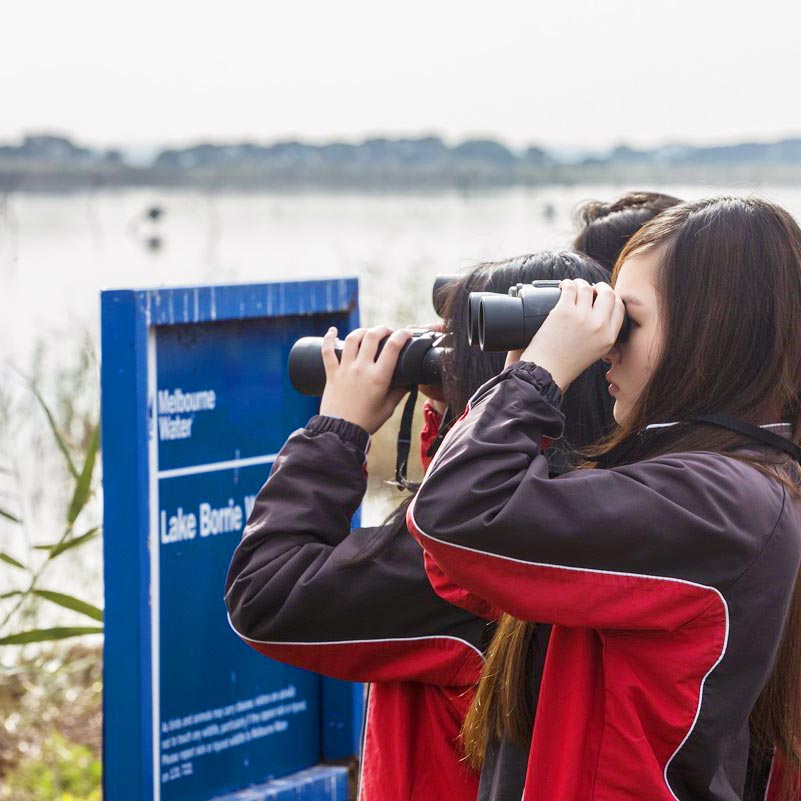 Group of students with binoculars looking at the Western Treatment Plant's Lake Borrie wetland