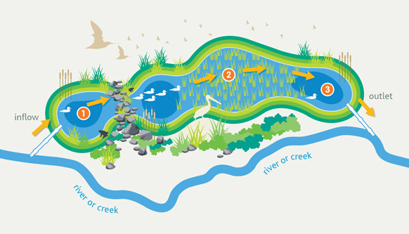 Diagram of wetland stormwater treatment process