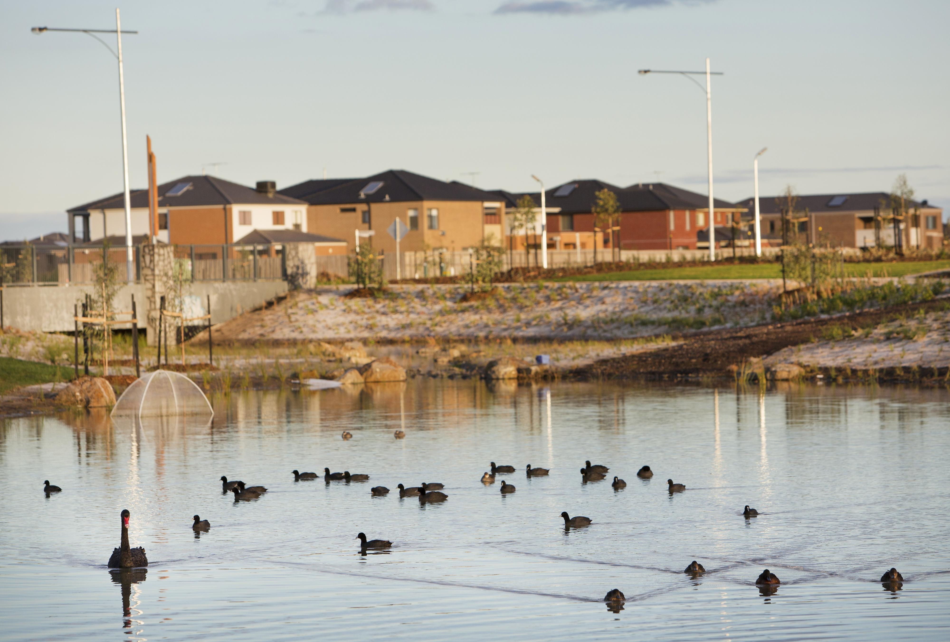 Housing development