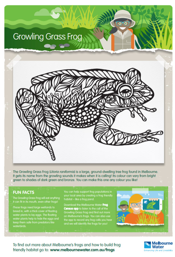 Growling grass frog colouring sheet