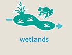 Wetlands icon