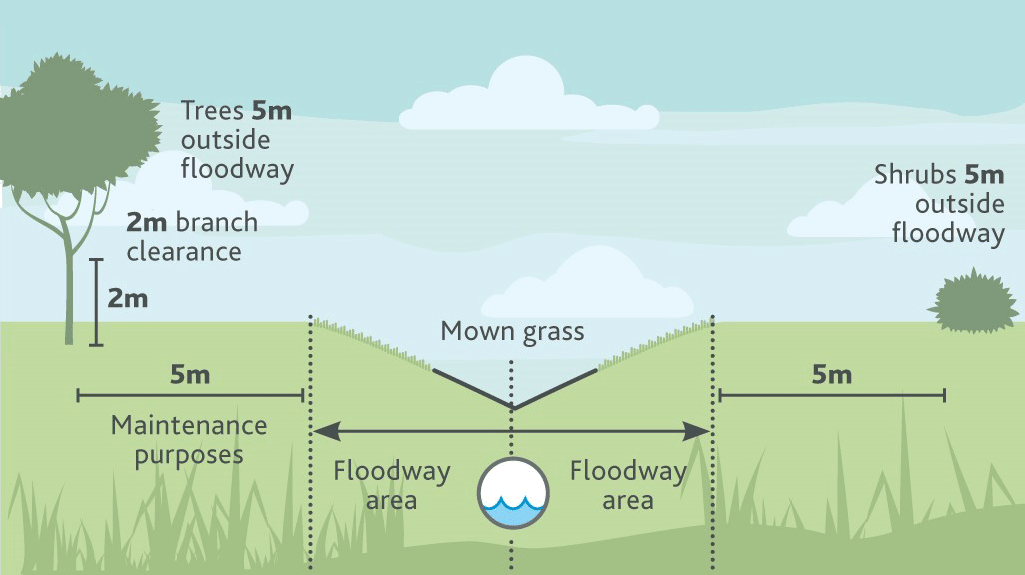 Cross-section of floodway - diagram shows 5m distance between plantings and floodway area, and 2m clearance for tree branches