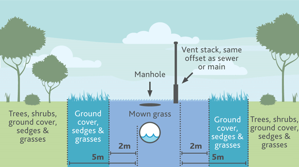 Cross-section of underground pipe - diagram shows ground cover and grasses 2m from asset, and trees and shrubs 5m from asset