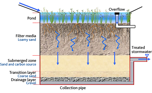 Raingarden cross-section: pond, filter media, submerged zone, transition layer, drainage layer