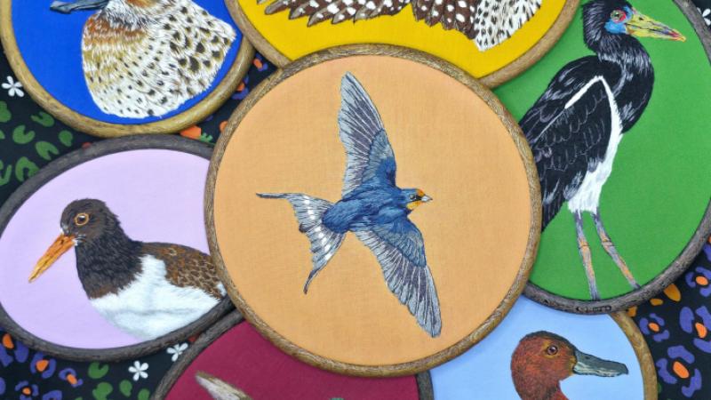 World Migratory Bird Day