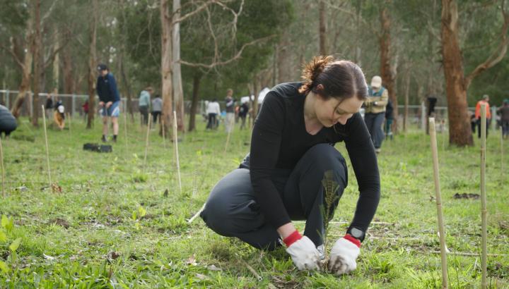 Beth Hamilton from North East Intrepid Landcare at a planting event at Healesville. 