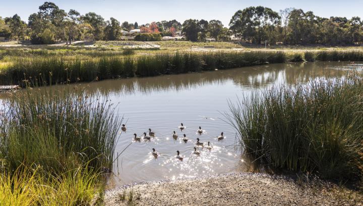 Blind Creek Lewis Park