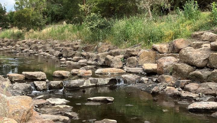 Moonee Ponds Creek with stepping stones