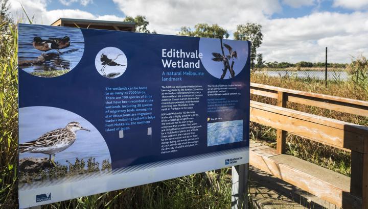 Edithvale Seaford Wetland sign with pictures and information about birds