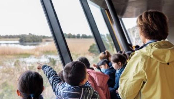 A group of children are looking out the bay windows into the Edithvale Wetlands