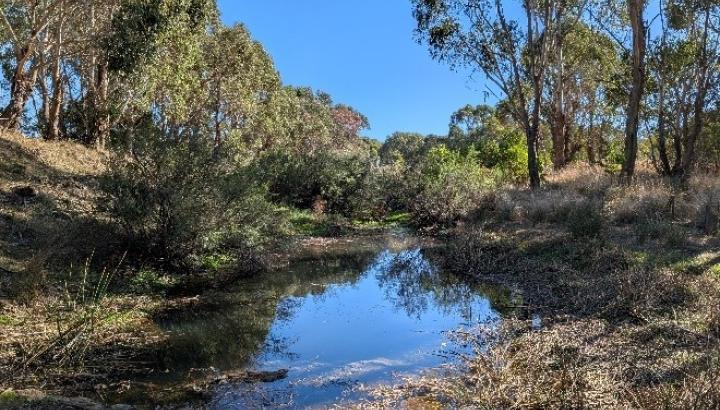Deep Creek after watering