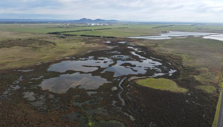 Melbourne Water helps revegetate and rejuvenate the Ramsar wetlands