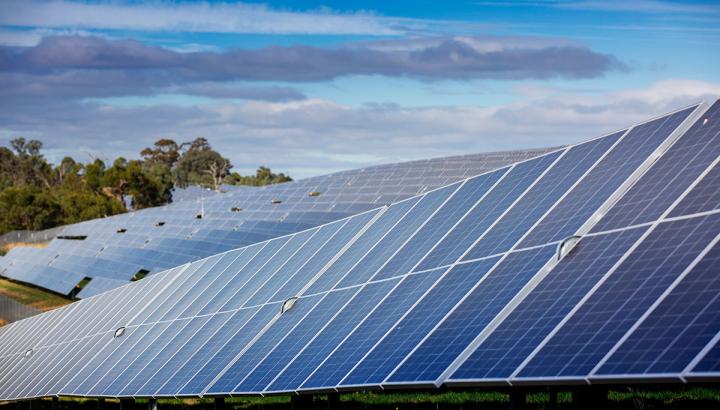 Rows of solar panels on a grassy hill at Winneke Water Treatment Plant, with a blue sky in the background