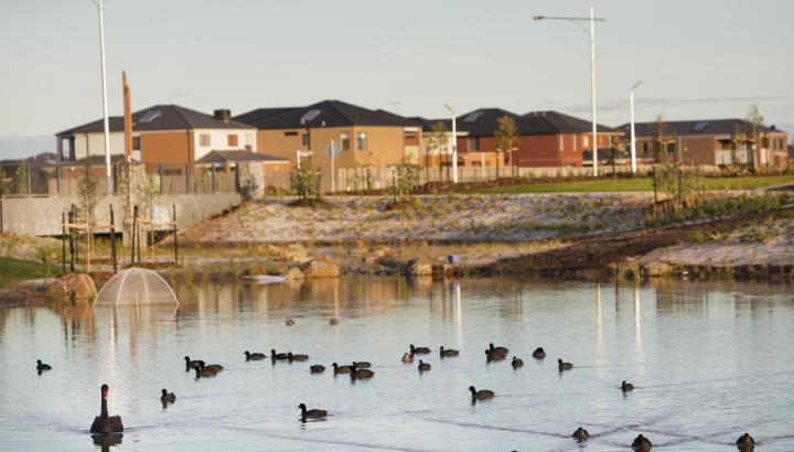 Housing development