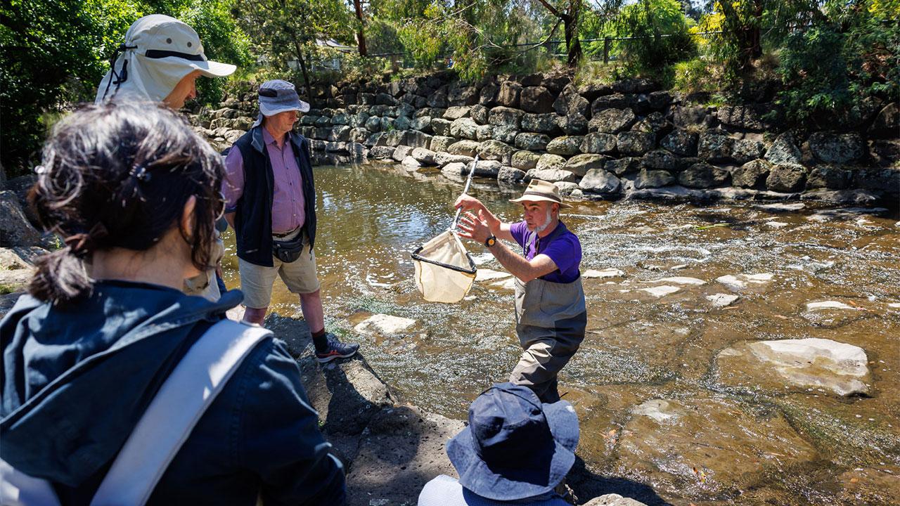 John Gooderham, The Waterbug Company, takes a sample of waterbugs from a stream