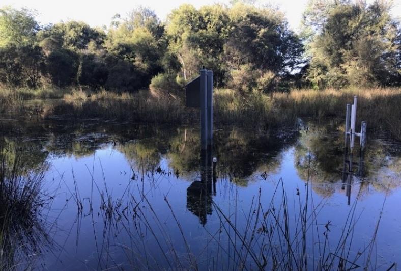 Filled Yering Backswamp
