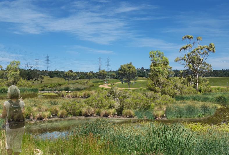 Grasmere Creek wetlands artist impression
