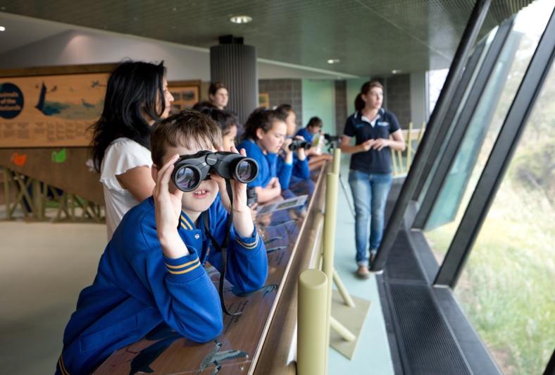 Child with binoculars looks out a window into the wetlands.