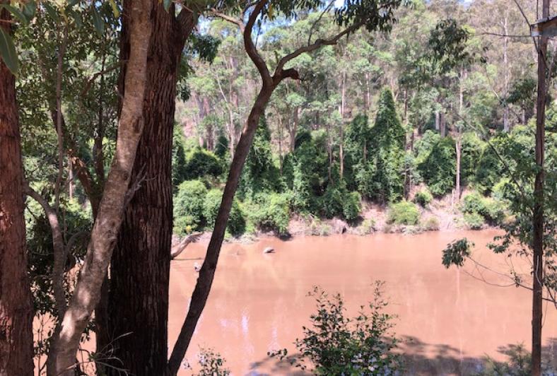 Brodribb River