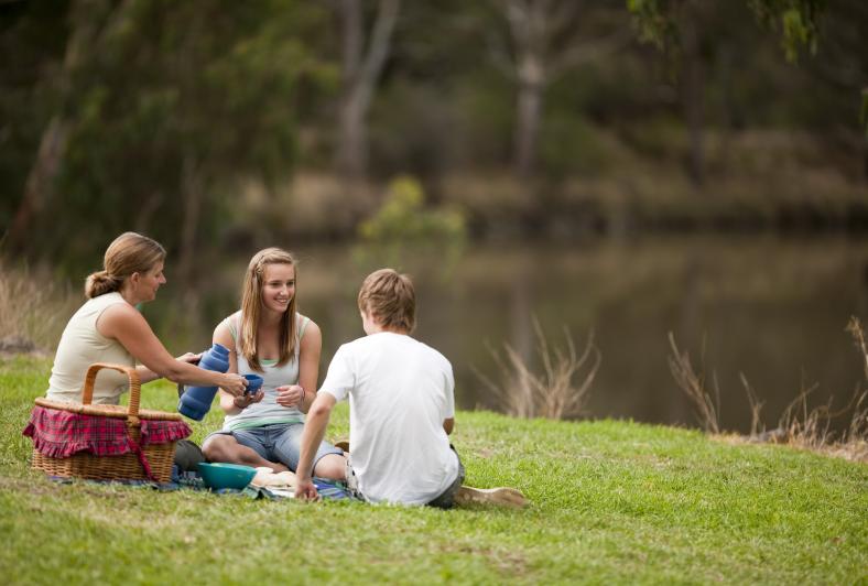 Yarra River picnic