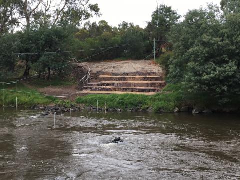Viewing platform at Westerfolds Park