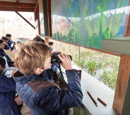 ESWEC bird hide young student with binoculars