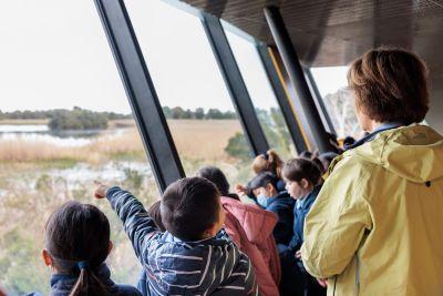 A group of children are looking out the bay windows into the Edithvale Wetlands