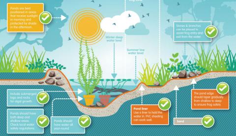 Frog pond map