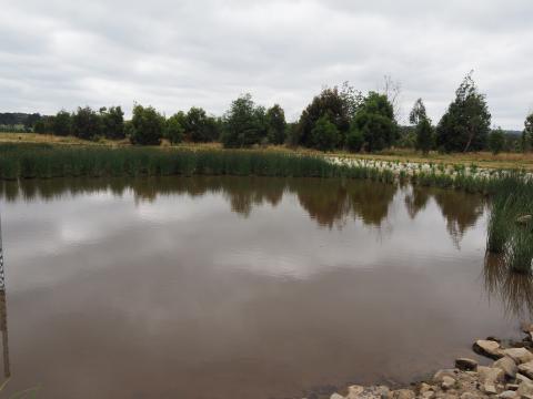 wetlands looking north at Berwick