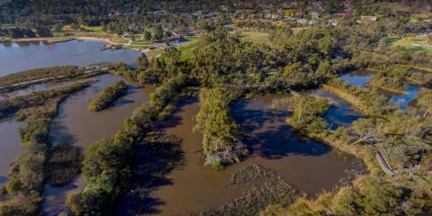 Lillydale Wetlands