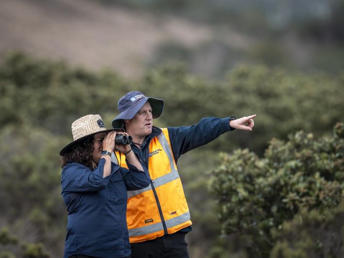 Two people looking over in the wetlands