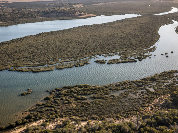 Western Port wetlands