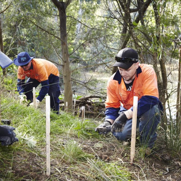 Melbourne Water staff working near a waterway