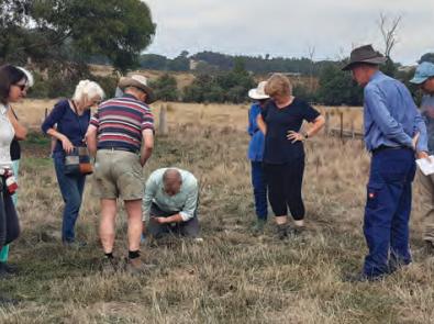 Group of people stand in a paddock monitoring dung beetles