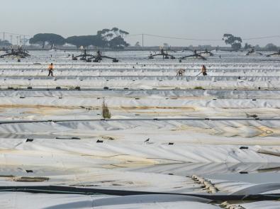 Floating pokymer covers at the Western Treatment Plant