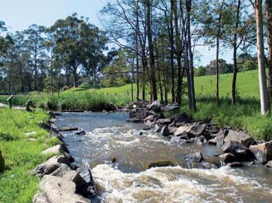 A stream running through the Shire of Baw Baw