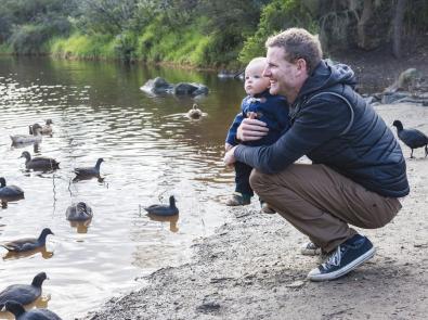 Birds at Darebin Parklands Man and baby sit by waterway surrounded by birds