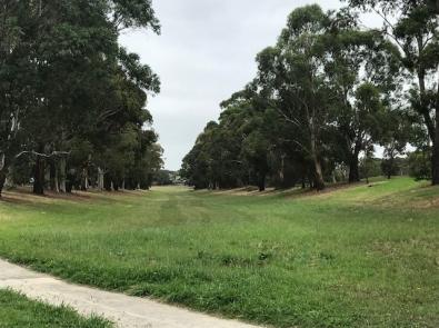 Blind Creek - before improvements