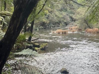 Cement Creek Warburton