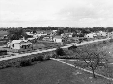 Black and white photograph of rows of weatherboard houses on a grassy land