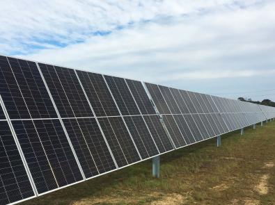 Rows of solar panels at the Eastern Treatment Plant