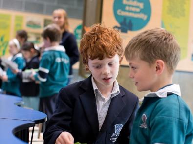 School children look at cards inside the Edithvale-Seaford Wetland Education Centre